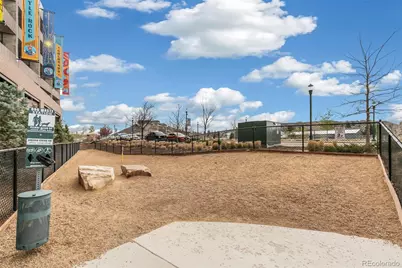 20 Wilcox Street #519, Castle Rock, CO 80104 - Photo 31