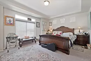 10294 Yampa St, Commerce City, CO 80022 - Photo 11