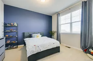 10170 160th Pl, Brighton, CO 80602 - Photo 17