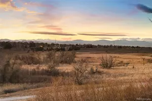 7233 S Niagara Cir, Centennial, CO 80112 - Photo 45