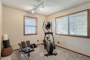 254 Zang St, Lakewood, CO 80228 - Photo 15