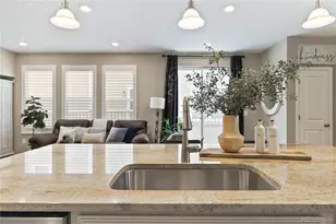 3793 Happyheart Way, Castle Rock, CO 80109 - Photo 11