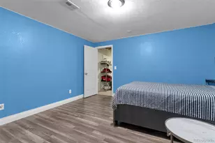 10041 Joplin St, Commerce City, CO 80022 - Photo 29