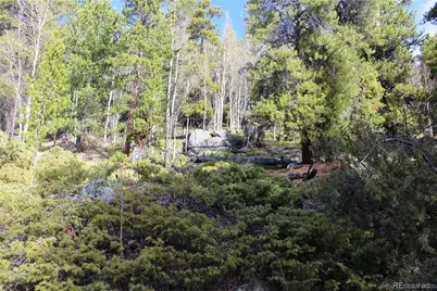 4-1 Lamertine Road, Idaho Springs, CO 80452 - Photo 7