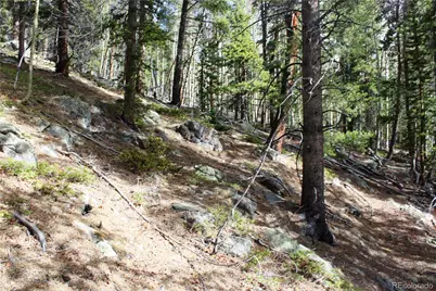 4-1 Lamertine Road, Idaho Springs, CO 80452 - Photo 21