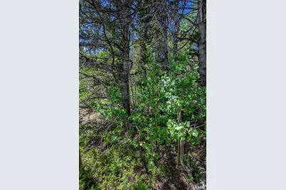 123 Yankee Hill Trail, Black Hawk, CO 80427 - Photo 35