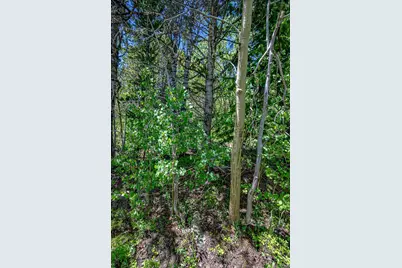 123 Yankee Hill Trail, Black Hawk, CO 80427 - Photo 39