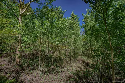 123 Yankee Hill Trail, Black Hawk, CO 80427 - Photo 43