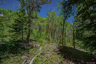 123 Yankee Hill Trail, Black Hawk, CO 80427 - Photo 41
