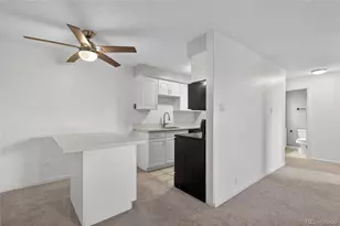 1233 N Ogden St, Denver, CO 80218 - Photo 3