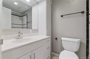 1233 N Ogden St, Denver, CO 80218 - Photo 15