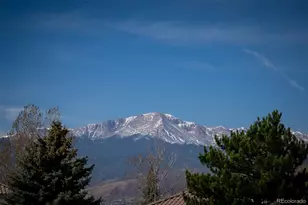 2317 Winstead View, Colorado Springs, CO 80920 - Photo 47