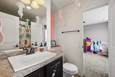 21061 Randolph Place, Denver, CO 80249 - Photo 15