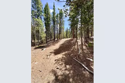 0 Georges Way, Alma, CO 80420 - Photo 25