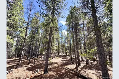 0 Georges Way, Alma, CO 80420 - Photo 9