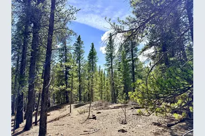 0 Georges Way, Alma, CO 80420 - Photo 15