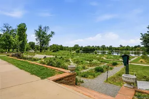 1101 S York St, Denver, CO 80210 - Photo 43