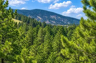 5091 S Olive Rd, Evergreen, CO 80439 - Photo 33