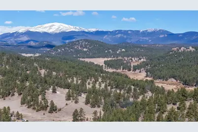 195 Doe Circle, Bailey, CO 80421 - Photo 27