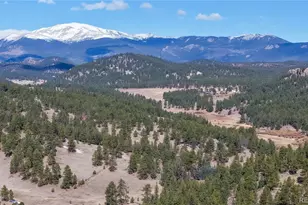 195 Doe Cir, Bailey, CO 80421 - Photo 27