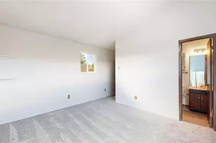 195 Doe Cir, Bailey, CO 80421 - Photo 19