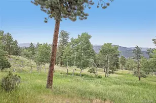 278 Overlook Dr, Bailey, CO 80421 - Photo 43