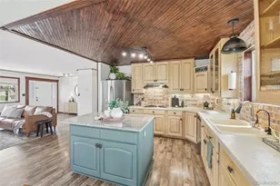 278 Overlook Dr, Bailey, CO 80421 - Photo 15