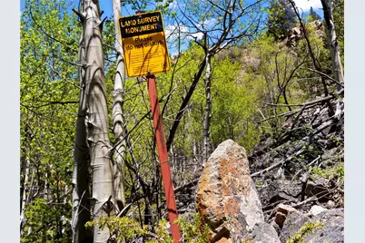 10575 Co-82, Twin Lakes, CO 81251 - Photo 31