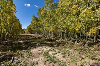 10575 Co-82, Twin Lakes, CO 81251 - Photo 13