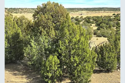 Lot 21 Of 13565 Bat Masterson Drive, Trinidad, CO 81082 - Photo 3