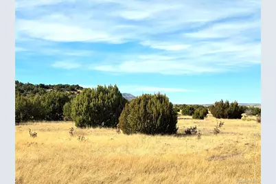 Lot 21 Of 13565 Bat Masterson Drive, Trinidad, CO 81082 - Photo 7