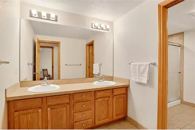 461 Tacker Court, Castle Rock, CO 80104 - Photo 43