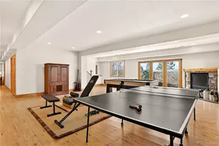 461 Tacker Ct, Castle Rock, CO 80104 - Photo 37