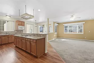 10584 Cliffrose Way, Highlands Ranch, CO 80130 - Photo 9