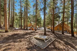 59 Tabor Dr, Leadville, CO 80461 - Photo 41