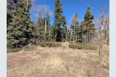 2938 Kemper Loop, Fort Garland, CO 81133 - Photo 3