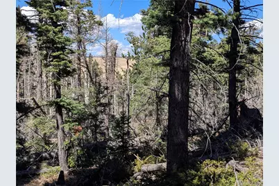 2938 Kemper Loop, Fort Garland, CO 81133 - Photo 11