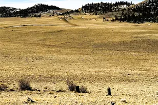 492 Chickamauga Trail, Hartsel, CO 80449 - Photo 1