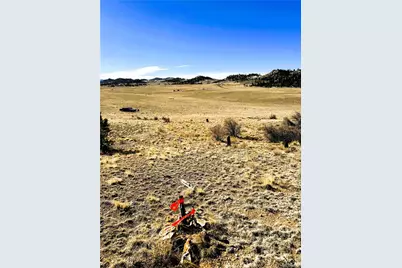 492 Chickamauga Trail, Hartsel, CO 80449 - Photo 3