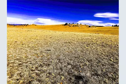 492 Chickamauga Trail, Hartsel, CO 80449 - Photo 13