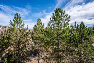 2896 W Riverwalk Cir, Littleton, CO 80123 - Photo 9