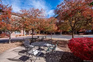 2896 W Riverwalk Cir, Littleton, CO 80123 - Photo 39