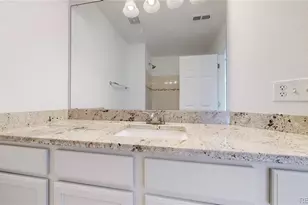 3858 Tranquility Trail, Castle Rock, CO 80109 - Photo 23