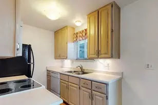 223 Holman Way, Golden, CO 80401 - Photo 9