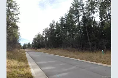 8139 Bannock Drive, Larkspur, CO 80118 - Photo 3