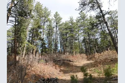 8139 Bannock Drive, Larkspur, CO 80118 - Photo 31