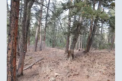 8139 Bannock Drive, Larkspur, CO 80118 - Photo 25