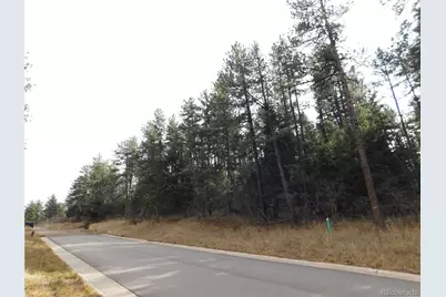 8139 Bannock Drive, Larkspur, CO 80118 - Photo 49