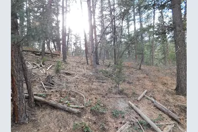 8139 Bannock Drive, Larkspur, CO 80118 - Photo 19