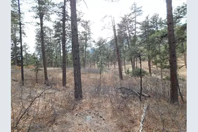 8139 Bannock Drive, Larkspur, CO 80118 - Photo 27